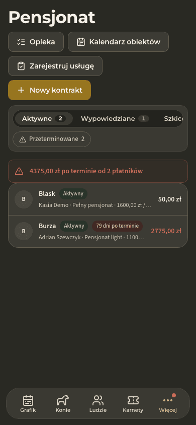podgląd · Pensjonat