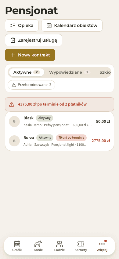 podgląd · Pensjonat