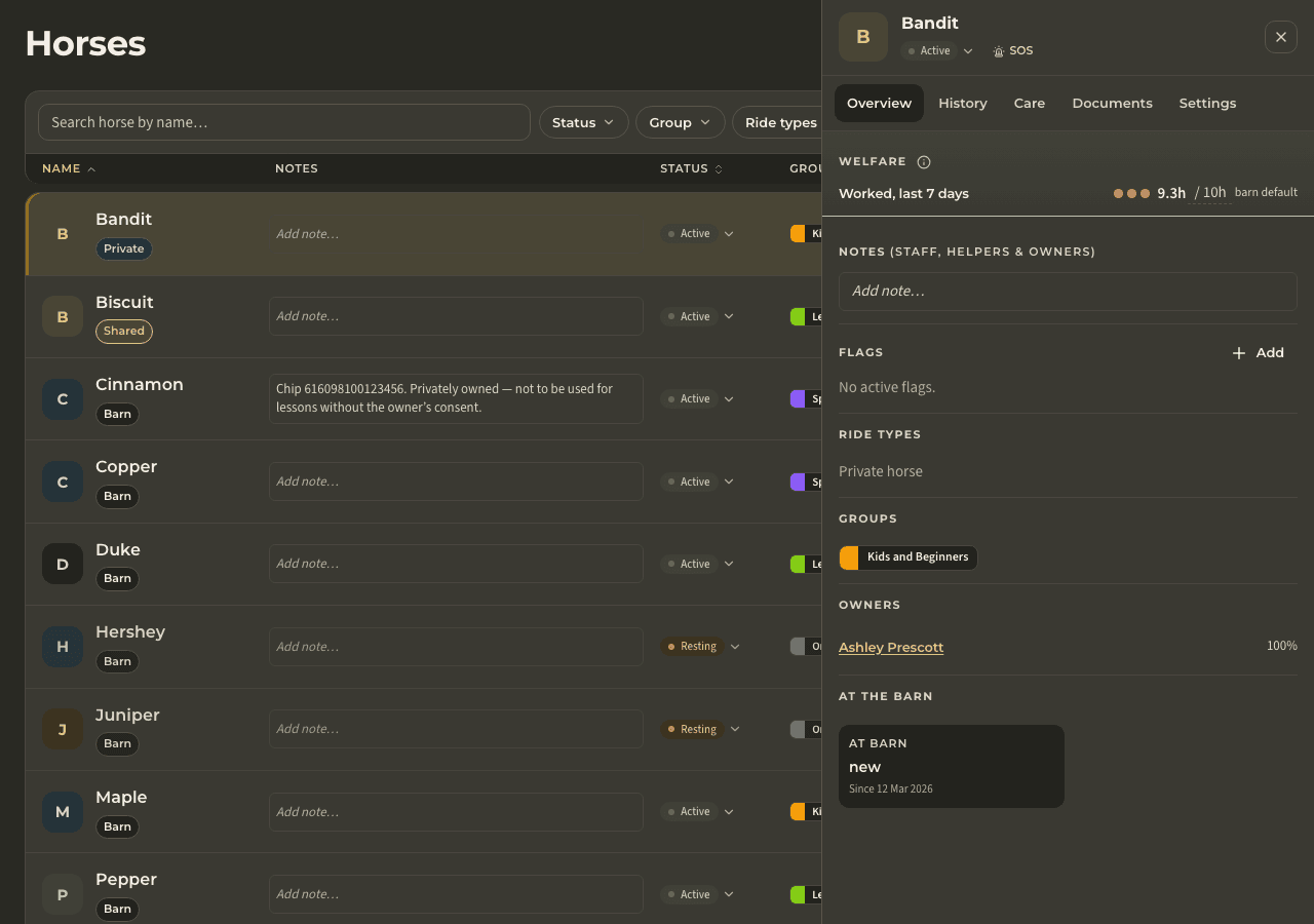 screenshot — horse profile & workload